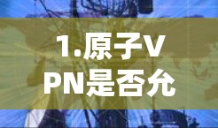 1.原子VPN是否允许用户访问特定网站？