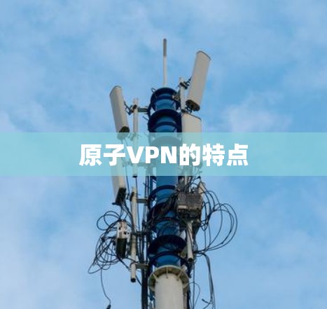 原子VPN的特点