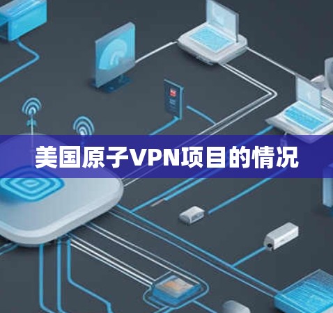 美国原子VPN项目的情况