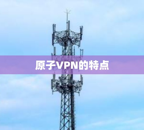 原子VPN的特点