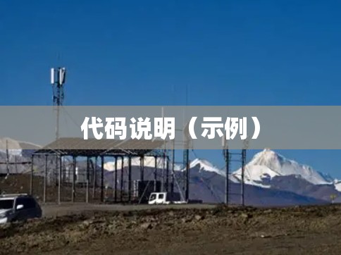 代码说明（示例）