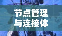 节点管理与连接体验，从实现到体验