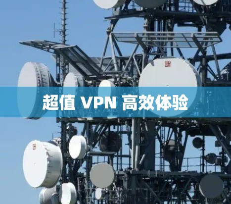 超值 VPN 高效体验