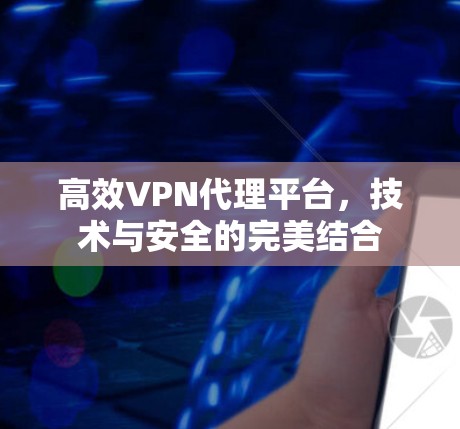 高效VPN代理平台，技术与安全的完美结合