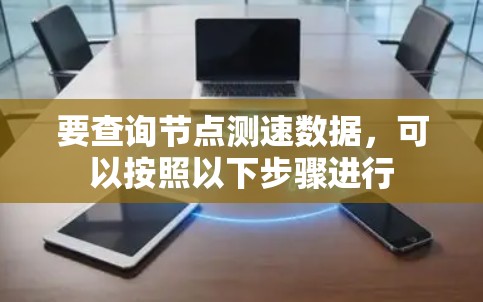 要查询节点测速数据，可以按照以下步骤进行