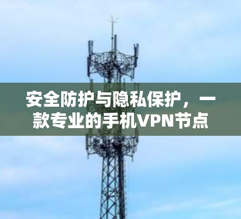 安全防护与隐私保护，一款专业的手机VPN节点体验