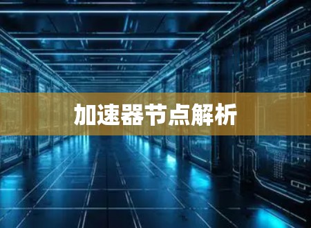 加速器节点解析