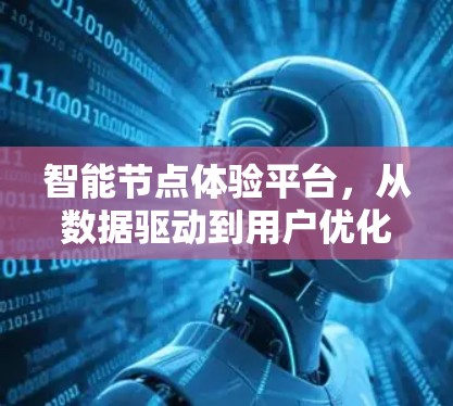 智能节点体验平台，从数据驱动到用户优化的未来挑战与解决方案