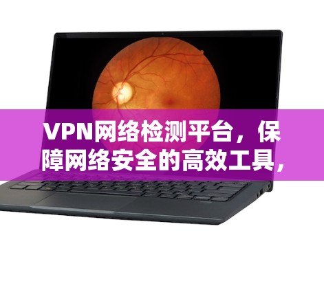 VPN网络检测平台，保障网络安全的高效工具，助力您的VPN体验