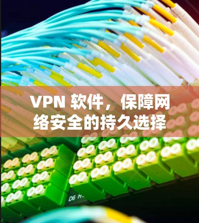 VPN 软件，保障网络安全的持久选择