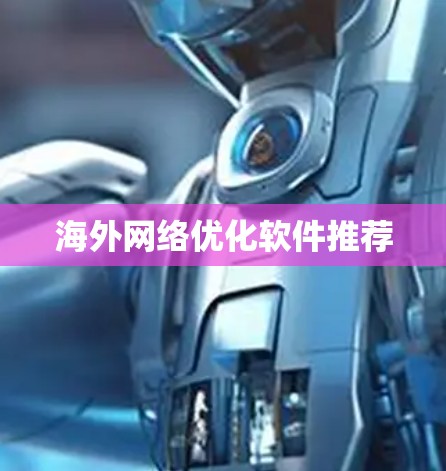 海外网络优化软件推荐