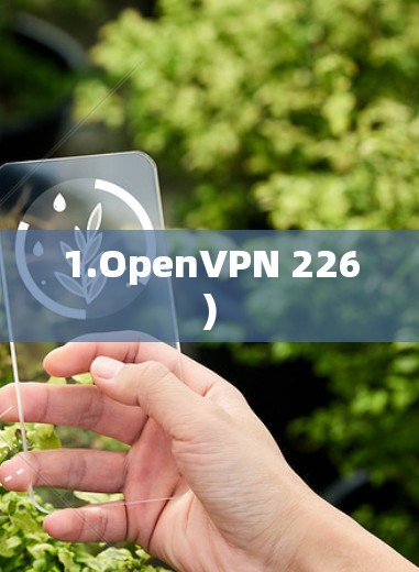 1.OpenVPN 226)