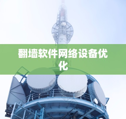 翻墙软件网络设备优化