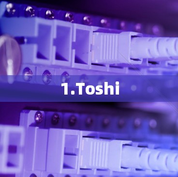 1.Toshi