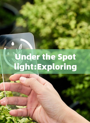 Under the Spotlight:Exploring the Dynamics of VPN Server Performance