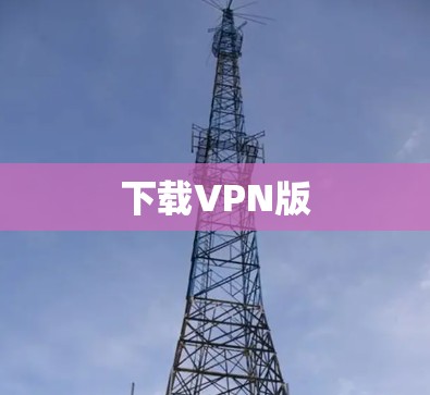 下载VPN版