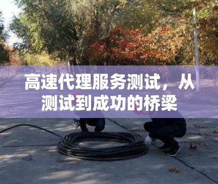 高速代理服务测试，从测试到成功的桥梁