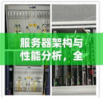 服务器架构与性能分析，全球分布的实战指南