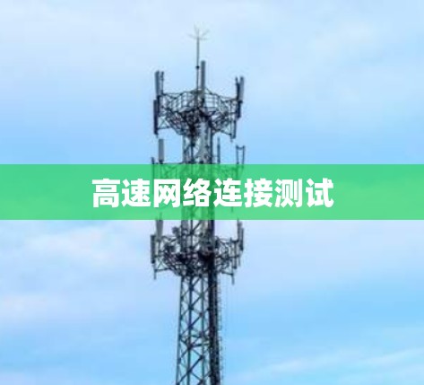 高速网络连接测试