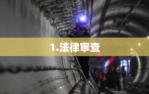 1.法律审查