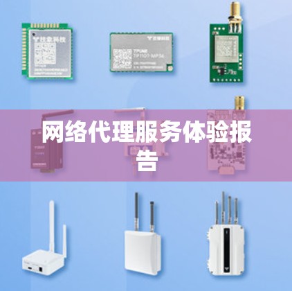 网络代理服务体验报告
