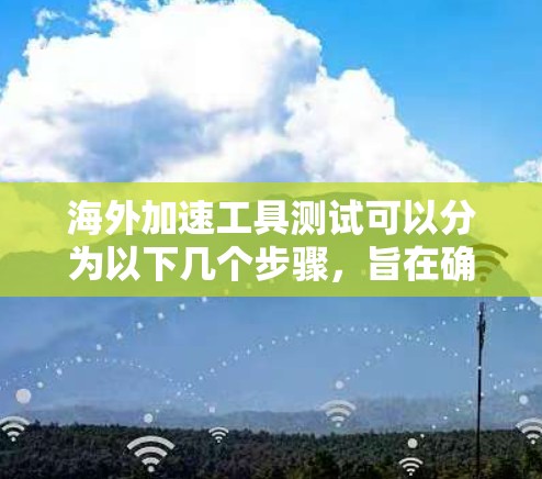 海外加速工具测试可以分为以下几个步骤，旨在确保其安全性和稳定运行