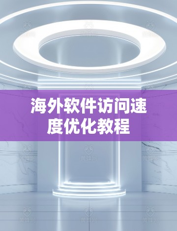 海外软件访问速度优化教程