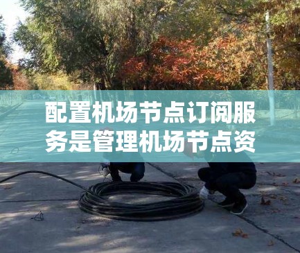 配置机场节点订阅服务是管理机场节点资源的关键步骤，掌握这一过程有助于提升资源使用的效率和安全性。以下是一个详细的配置步骤指南