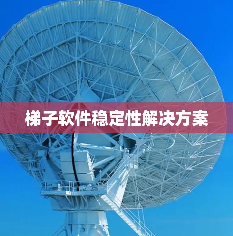 梯子软件稳定性解决方案