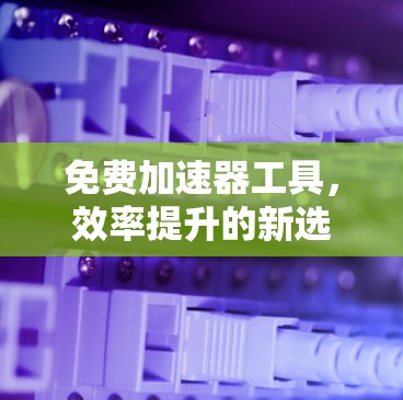 免费加速器工具，效率提升的新选择