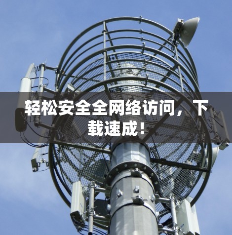 轻松安全全网络访问，下载速成！