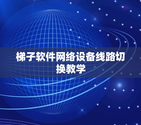梯子软件网络设备线路切换教学