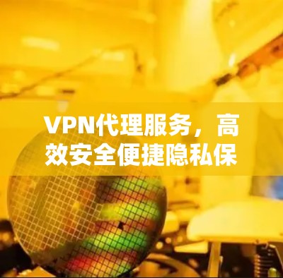 VPN代理服务，高效安全便捷隐私保护