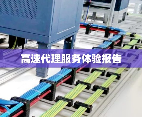 高速代理服务体验报告