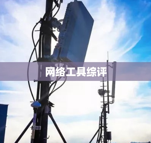 网络工具综评