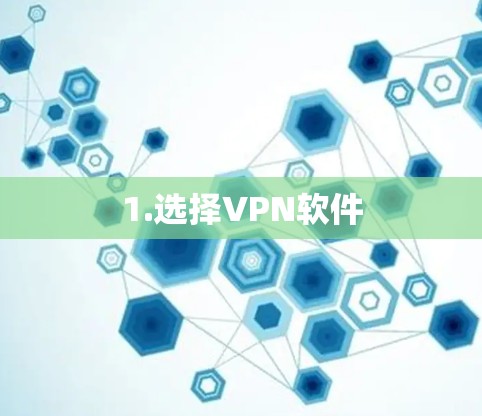 1.选择VPN软件