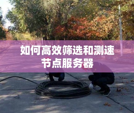 如何高效筛选和测速节点服务器