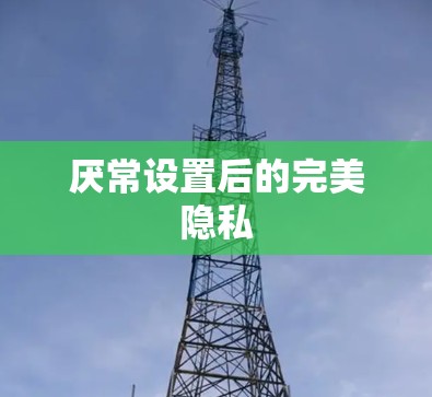 厌常设置后的完美隐私