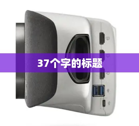 37个字的标题