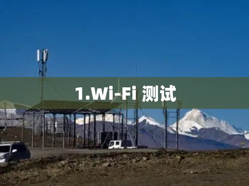 1.Wi-Fi 测试