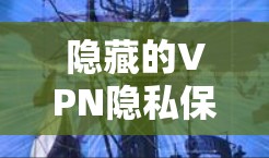 隐藏的VPN隐私保护教程｜隐藏VPN的秘密与实现