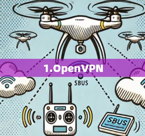 1.OpenVPN