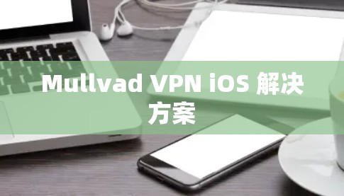 Mullvad VPN iOS 解决方案
