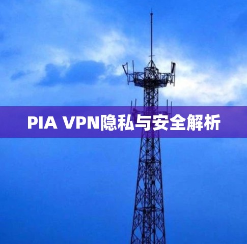 PIA VPN隐私与安全解析