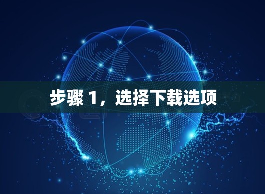 步骤 1，选择下载选项