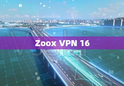 Zoox VPN 16
