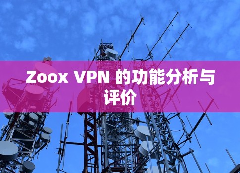 Zoox VPN 的功能分析与评价