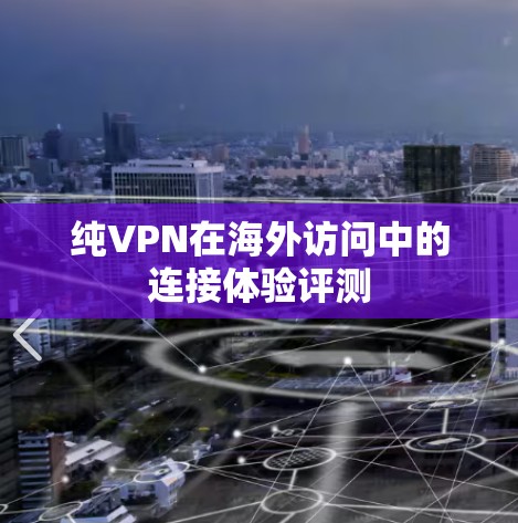 纯VPN在海外访问中的连接体验评测