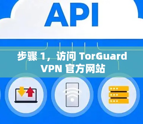 步骤 1，访问 TorGuard VPN 官方网站