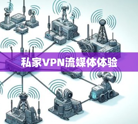 私家VPN流媒体体验